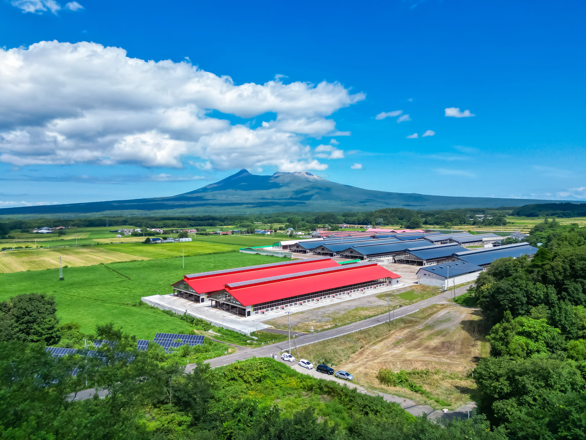 大沼本場