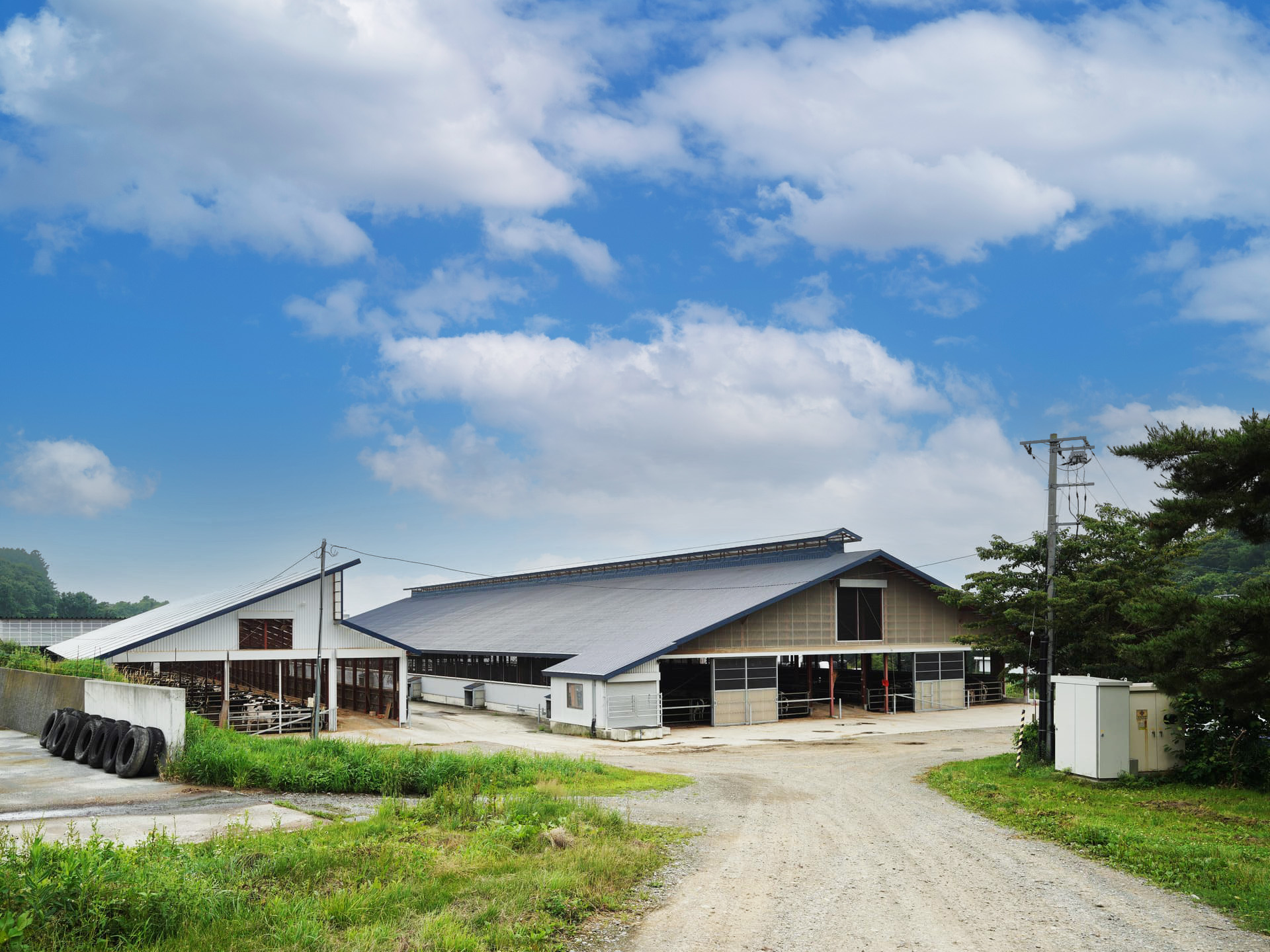 長沼分場
