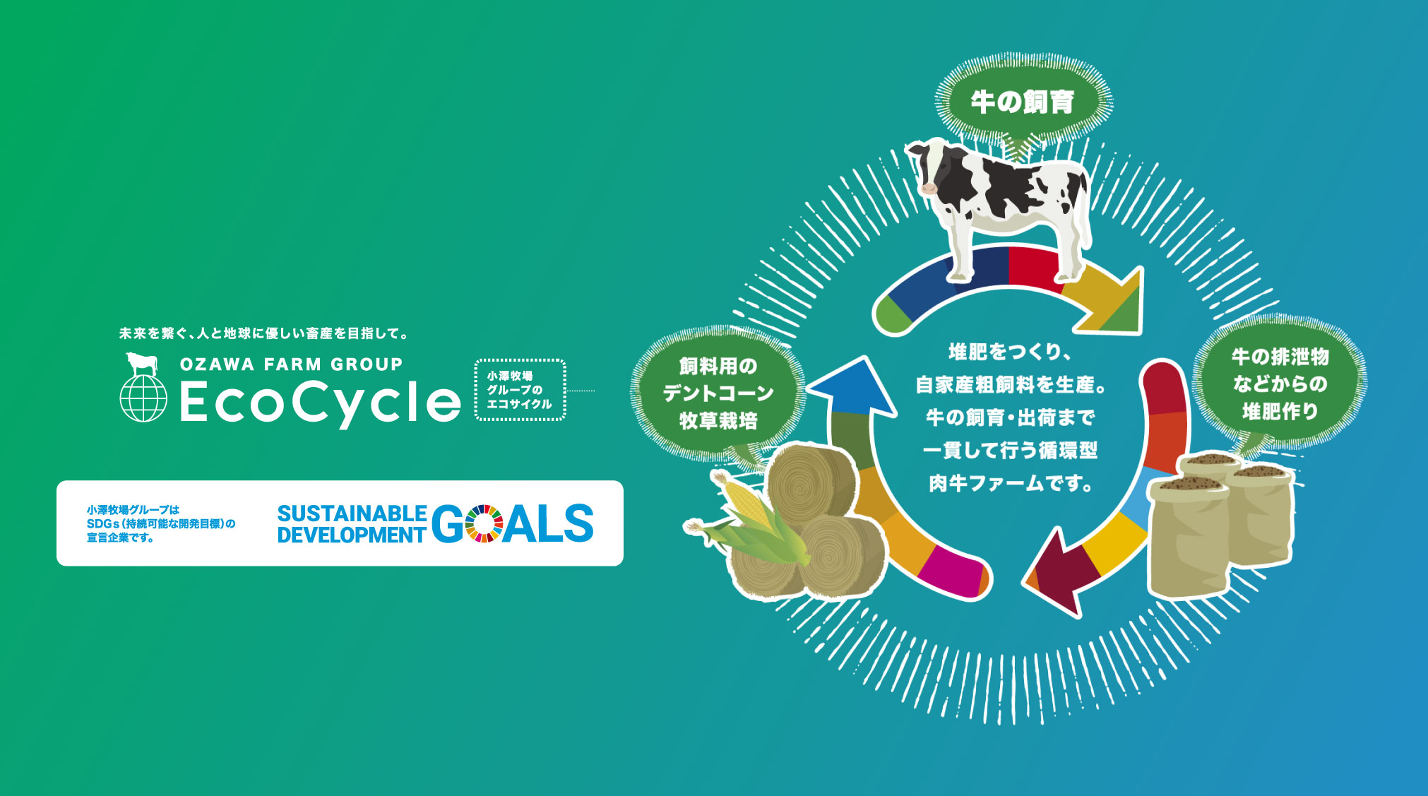 SDGs