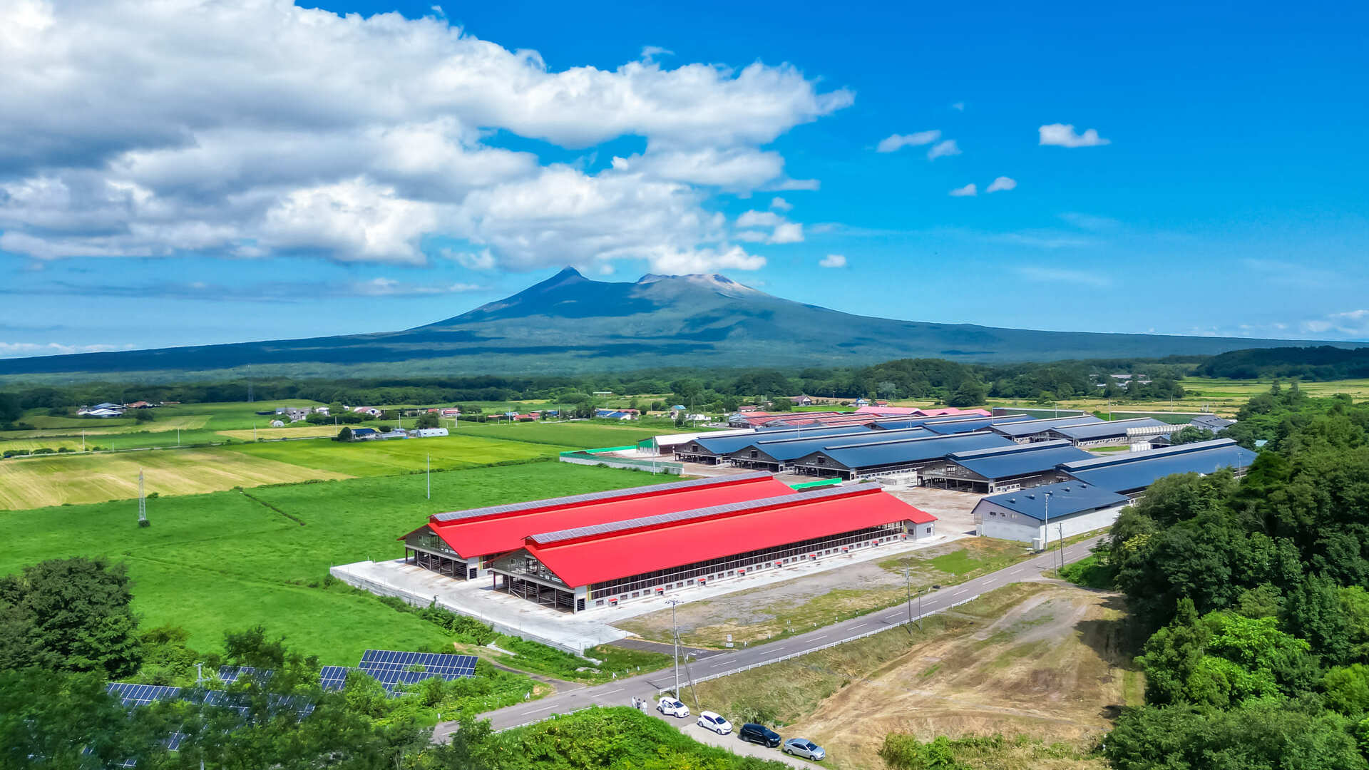 小澤牧場グループ